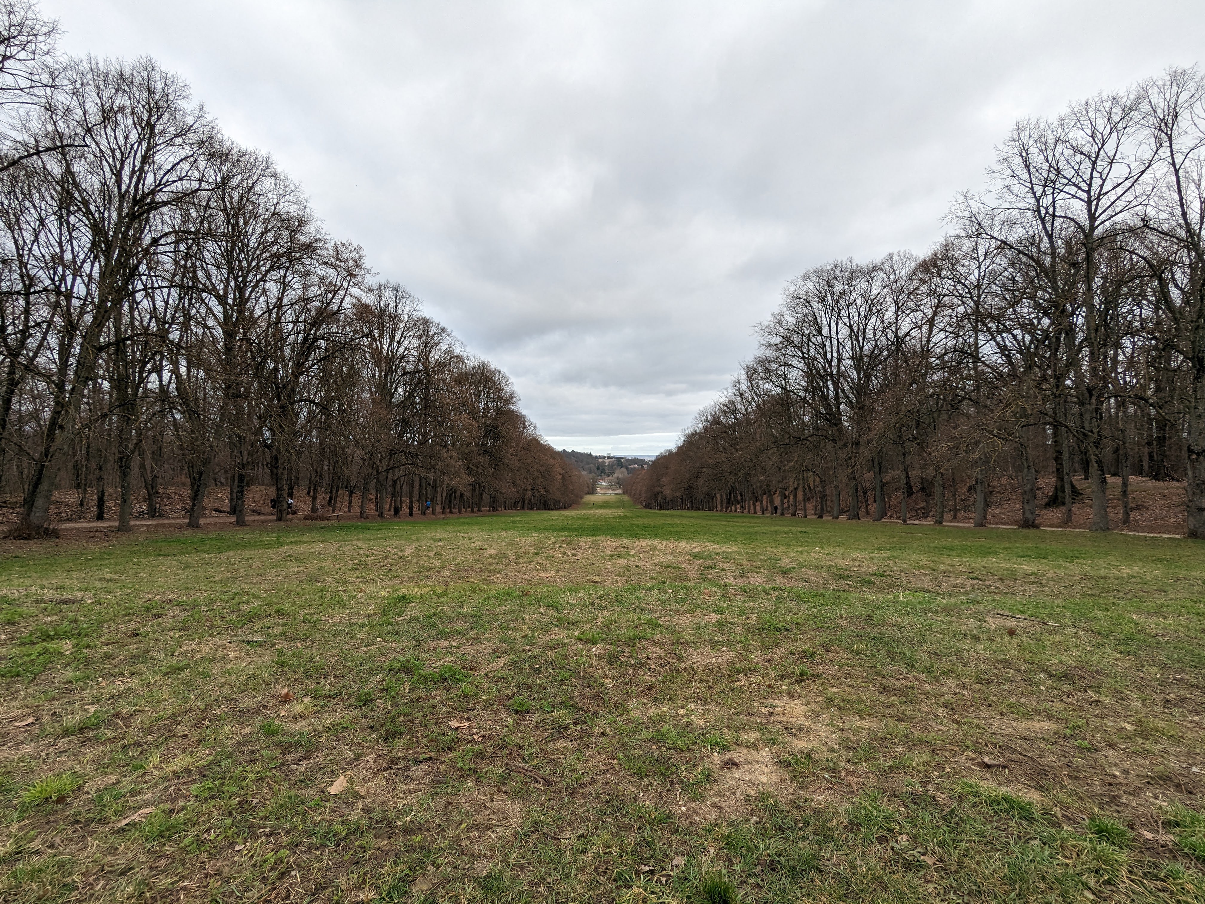 Sentier forestier — Forêt domaniale de Meudon