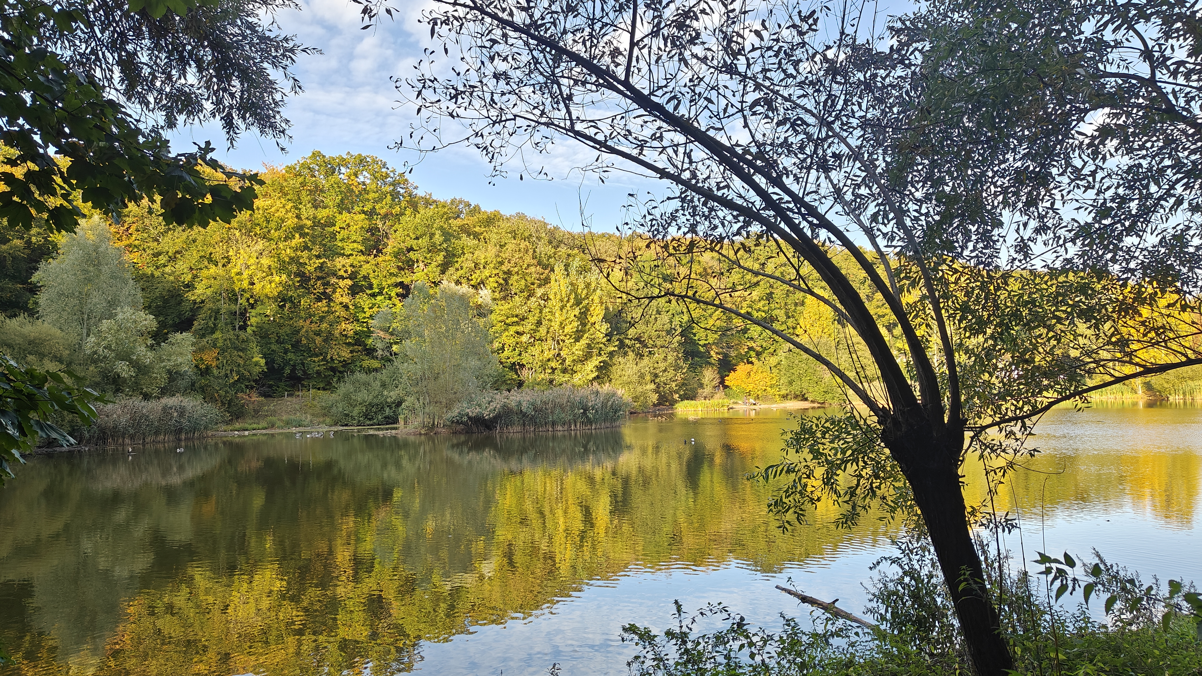 Point de vue du Belvédère — Forêt domaniale de Meudon