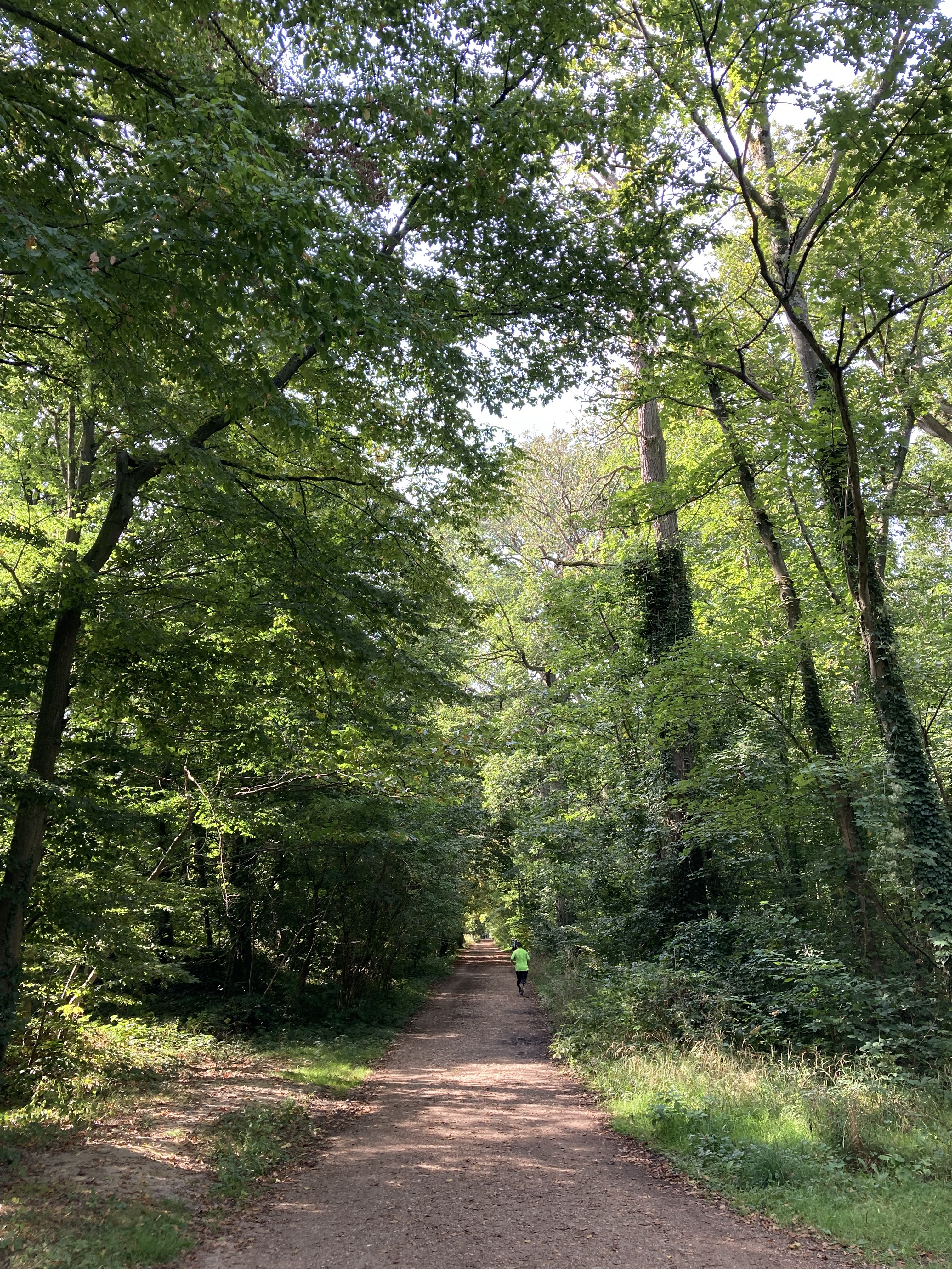 Faune sauvage — Forêt domaniale de Meudon
