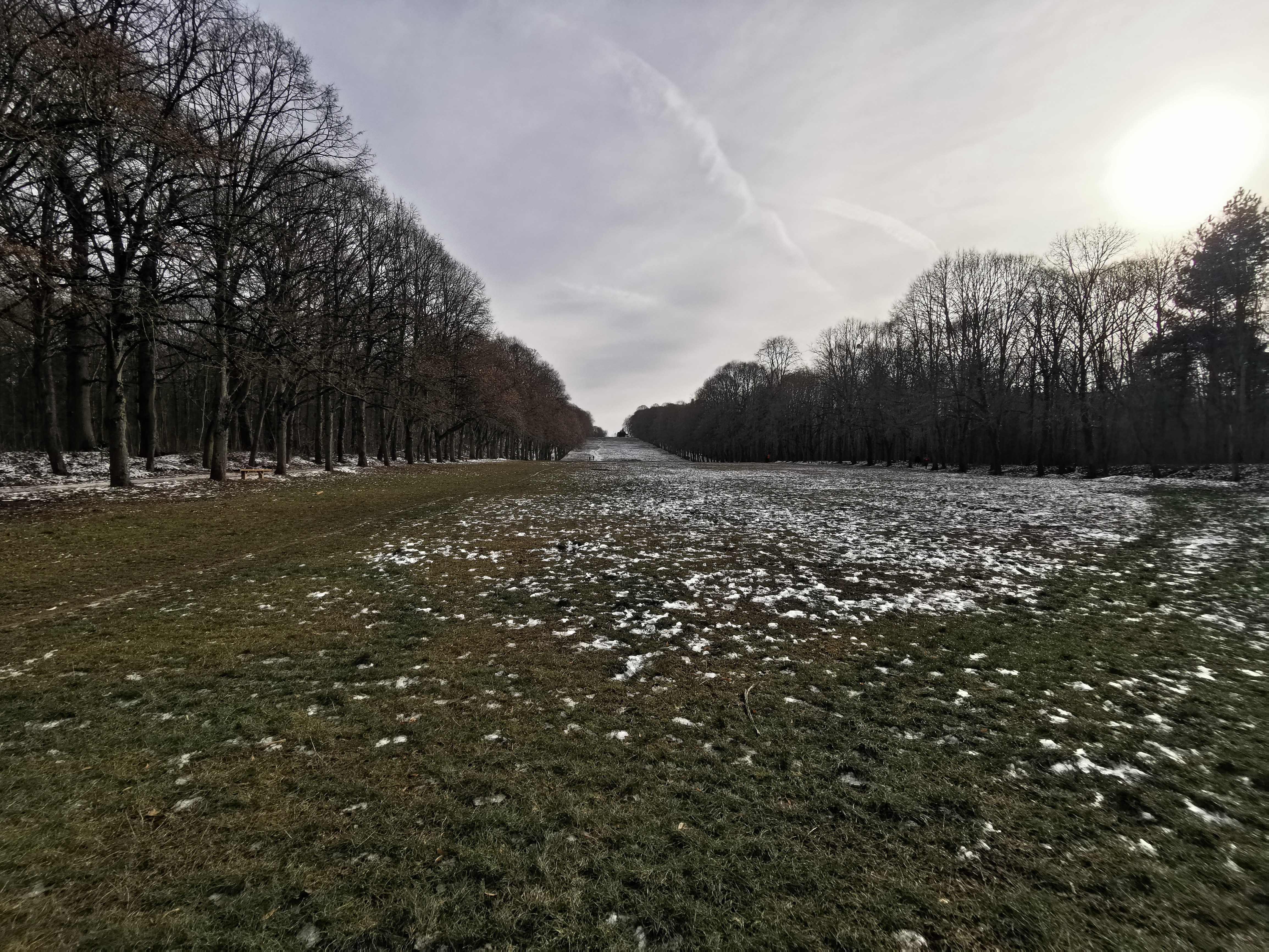Écosystème de zones humides — Forêt domaniale de Meudon